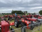 ashbyshow2023 (111)