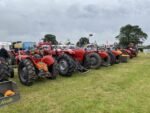 ashbyshow2023 (117)