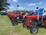ashbyshow2023 (136)
