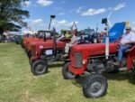 ashbyshow2023 (137)