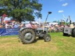 ashbyshow2023 (18)