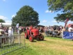 ashbyshow2023 (21)