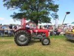 ashbyshow2023 (32)