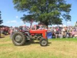 ashbyshow2023 (47)