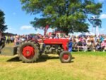 ashbyshow2023 (73)