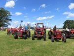 ashbyshow2023 (88)
