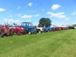 ashbyshow2023 (91)