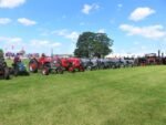 ashbyshow2023 (93)