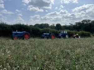 2025 08 10 road run e mewies photo 33