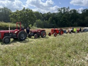 2025 08 10 road run e mewies photo 45