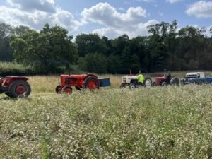 2025 08 10 road run e mewies photo 47