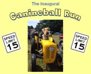 Screenshot 2025 07 01 084416