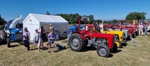 2022ashbyshow 2