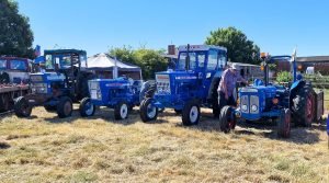 2022ashbyshow 3