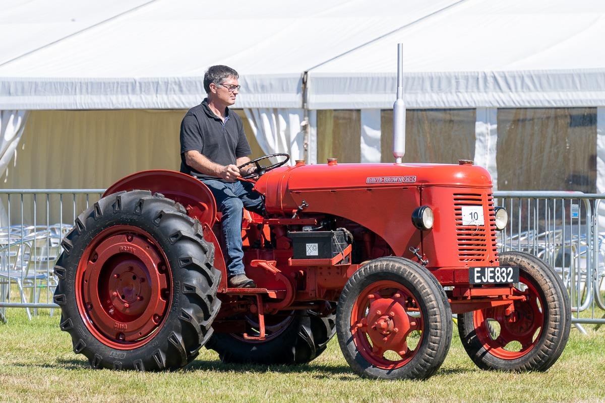 2022ashbyshow 12