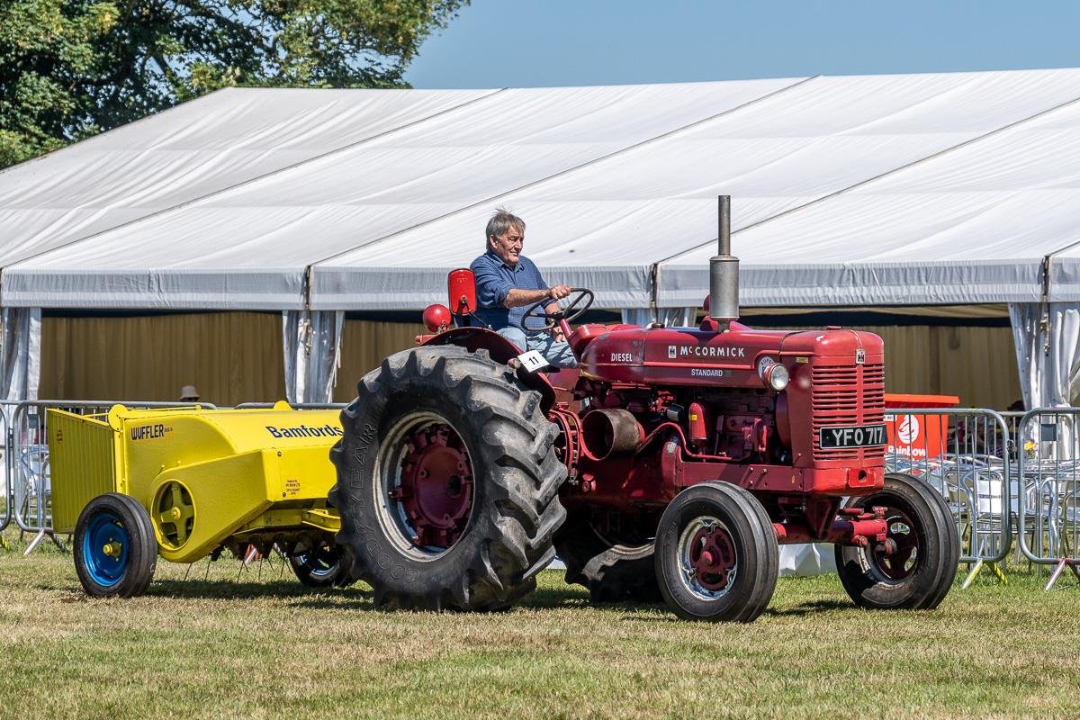 2022ashbyshow 14