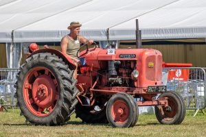 2022ashbyshow 21