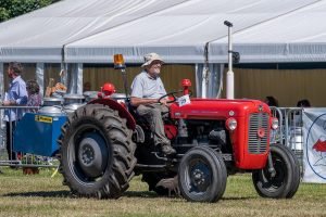 2022ashbyshow 22