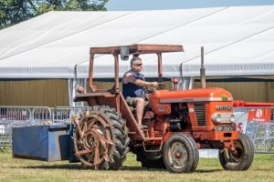2022ashbyshow 23