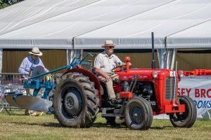 2022ashbyshow 27