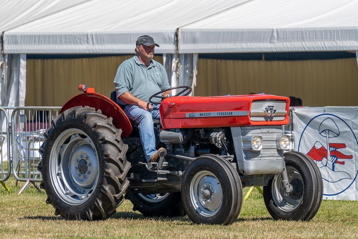 2022ashbyshow 31