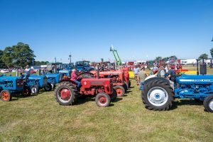 2022ashbyshow 40