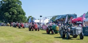 2022ashbyshow 43
