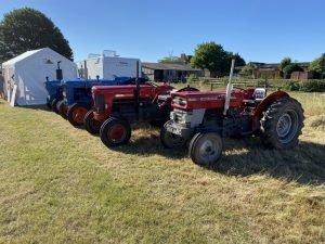 2022ashbyshow 57