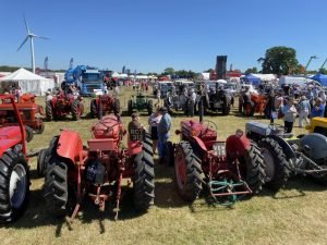2022ashbyshow 61