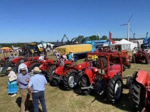 2022ashbyshow 62