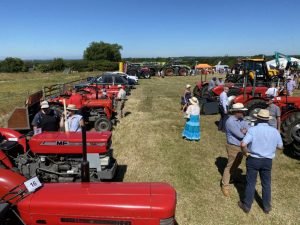 2022ashbyshow 63
