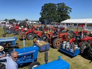2022ashbyshow 67