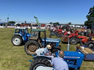 2022ashbyshow 68
