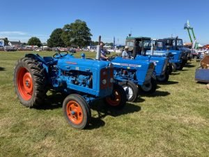 2022ashbyshow 69