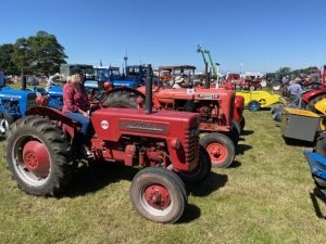 2022ashbyshow 70