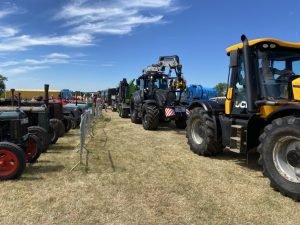 2022ashbyshow 85